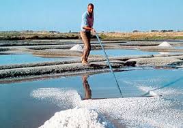 Mindful Foods Course Celtic Sea Salt 250g Or 420g, Unrefined With Over 80 Trace Minerals - Image 2