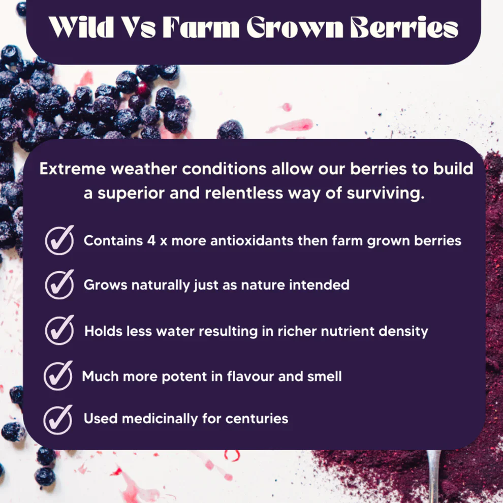 Mt Wilder Organic Wild Blueberry Powder 100g, Bursting with Vitamin C, Fibre, Zinc & Essential Amino Acids - Image 7