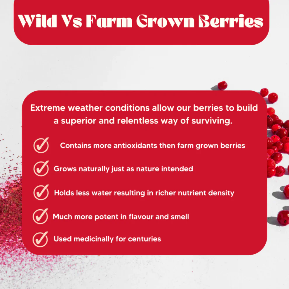 Mt Wilder Wild Cranberry Powder 100g, Bursting with Vitamin C,E and Quercetin - Image 3