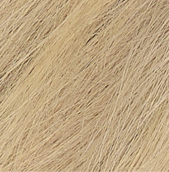 Naturtint Permanent Hair Colour Gel; No Ammonia 170mL, 9N Honey Blonde - Image 3