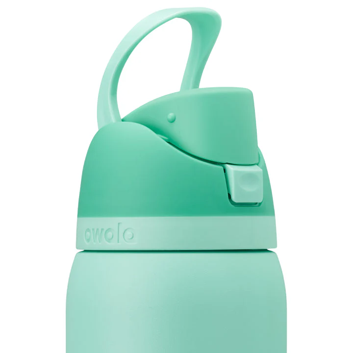 Owala FreeSip Stainless Steel Water Bottle 32oz, Freeze The Day - Image 3