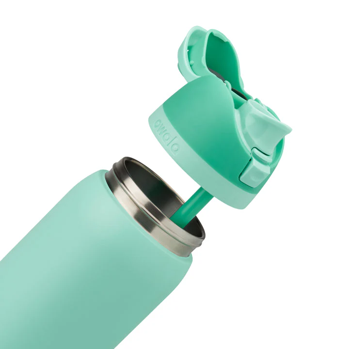 Owala FreeSip Stainless Steel Water Bottle 32oz, Freeze The Day - Image 4