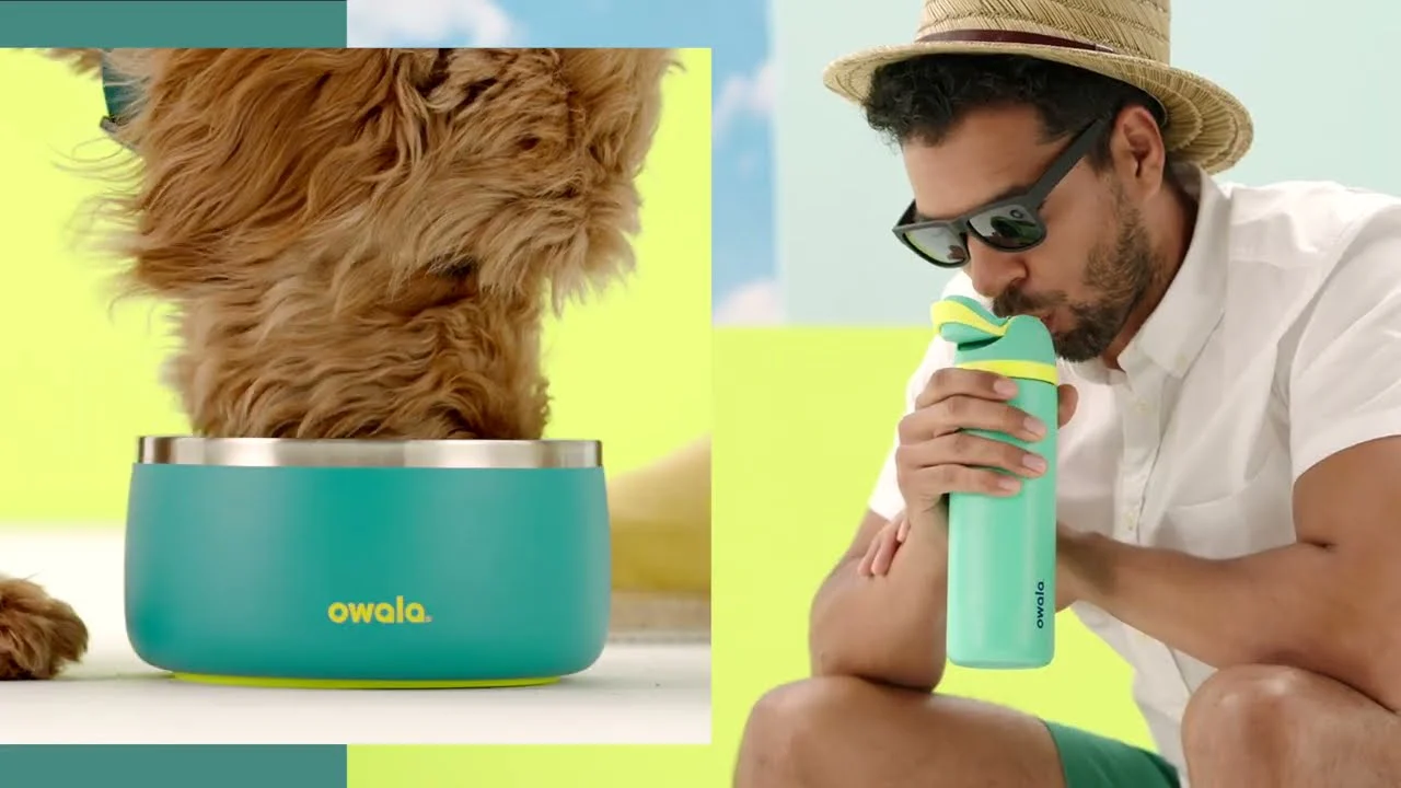 Owala Stainless Steel Pet Bowl 24oz Or 48oz, Turquoise & Caicos (Teal) - Image 3