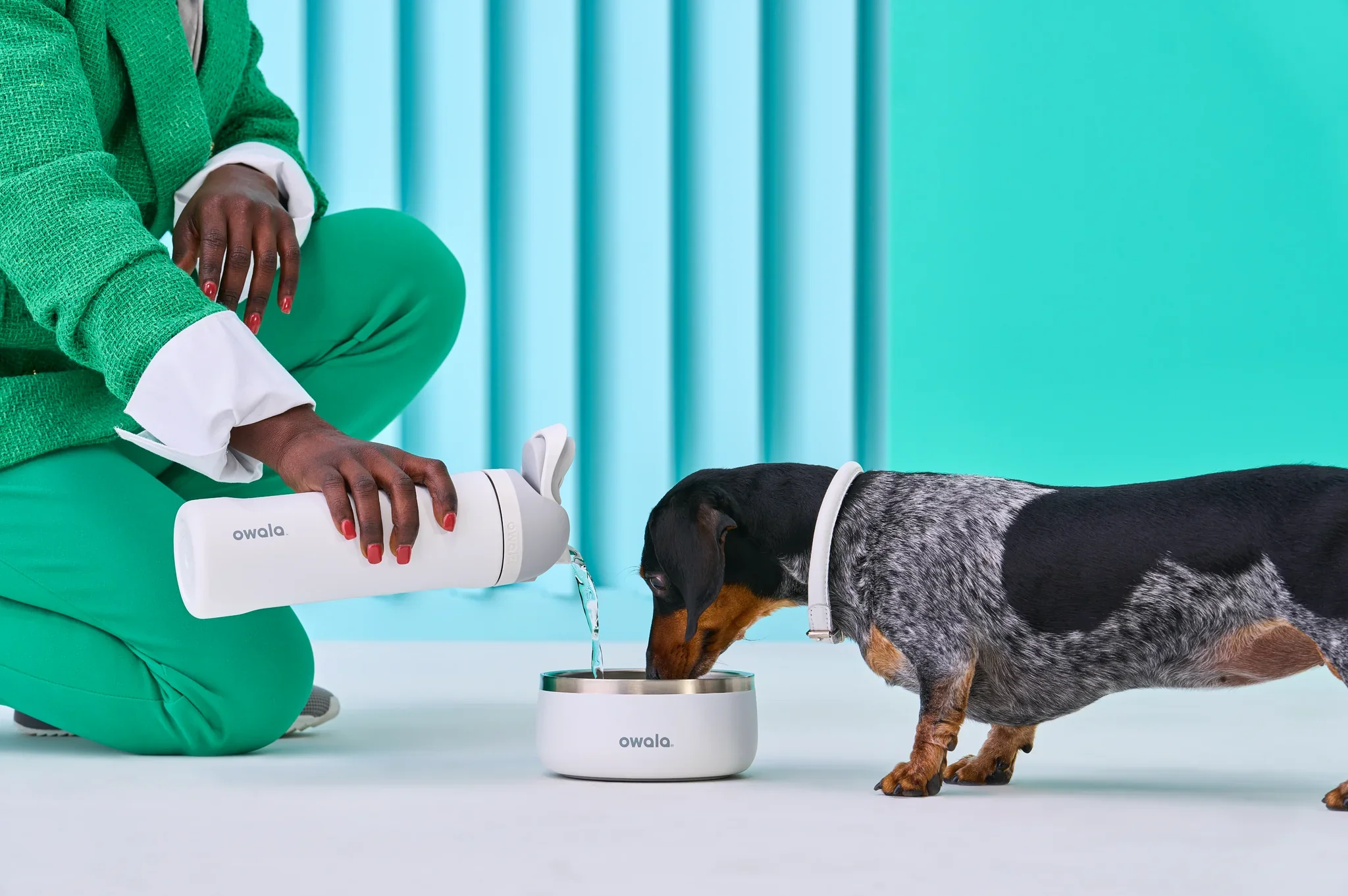 Owala Stainless Steel Pet Bowl 24oz Or 48oz, Shy Marshmallow (White)