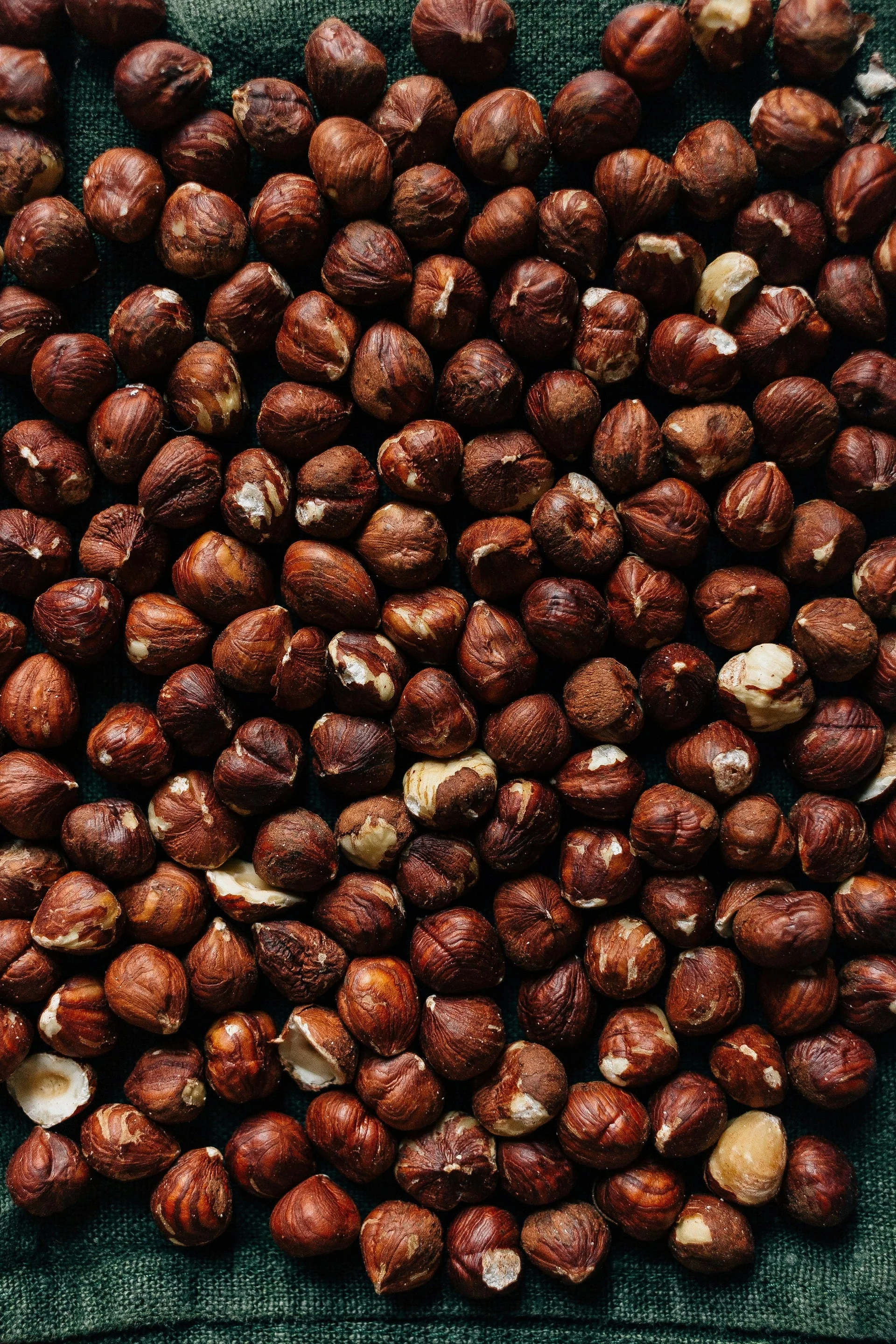 Pana Organic Certified Organic Hazelnut Chocolate 45g, With Roasted Hazelnuts - Image 3