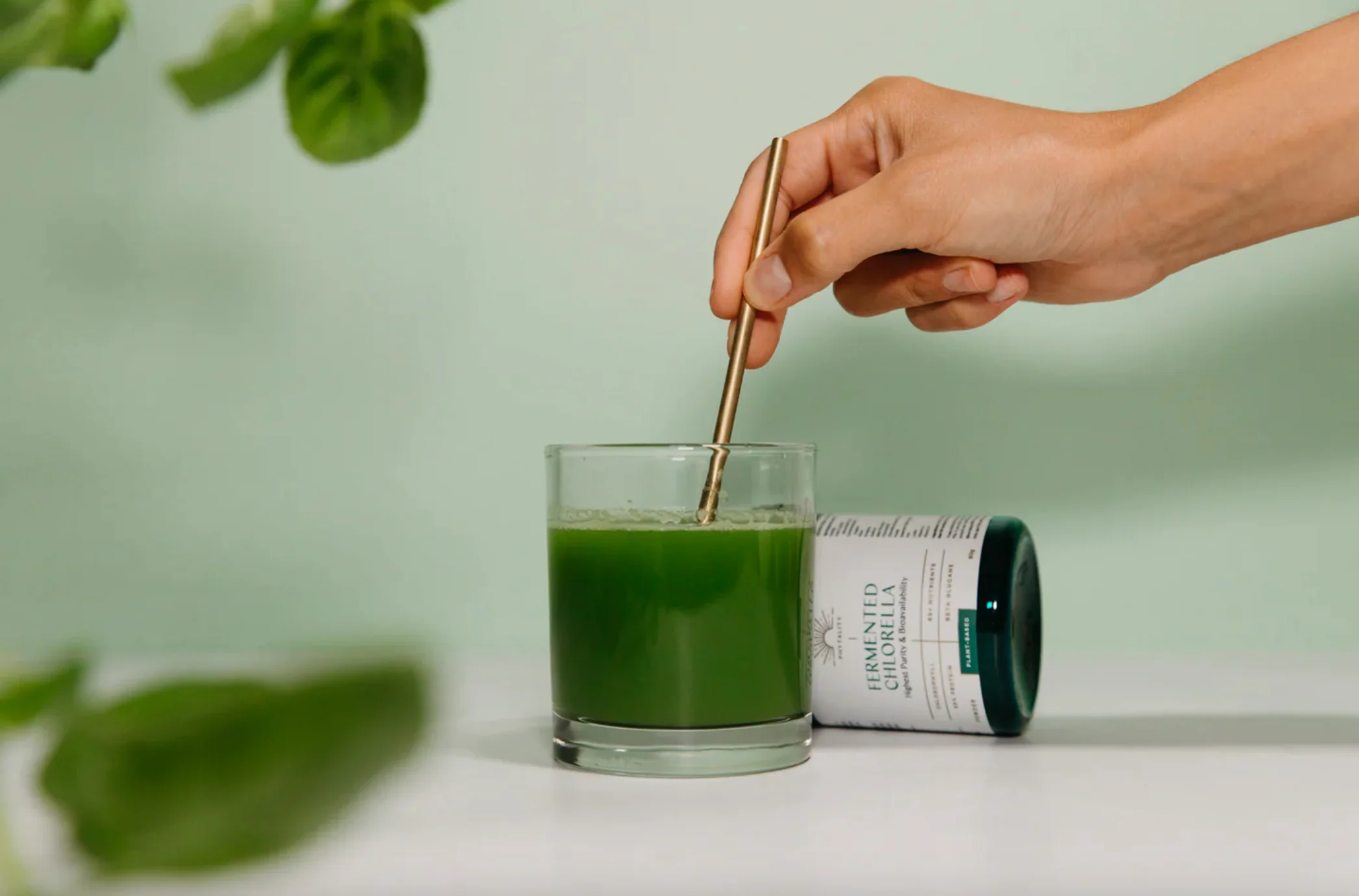 Phytality Plant-Based Fermented Chlorella Powder 120g, With The Highest Purity & Bioavailability - Image 3