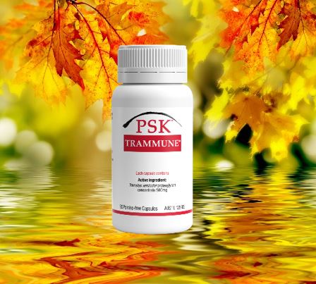 PSK Trammune; Trametes Versicolor Proteoglycan Concentrate 500mg, 90 Porcine-Free Hard Capsules