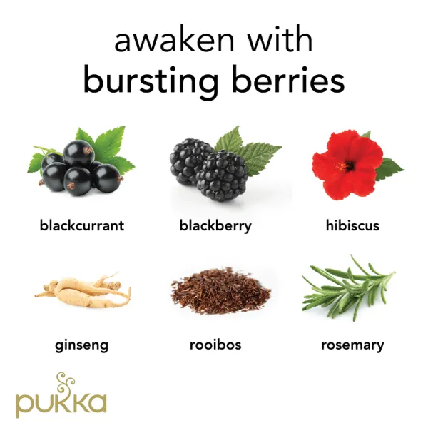 Pukka Herbs 20 Herbal Tea Bags, Morning Berry - Image 5