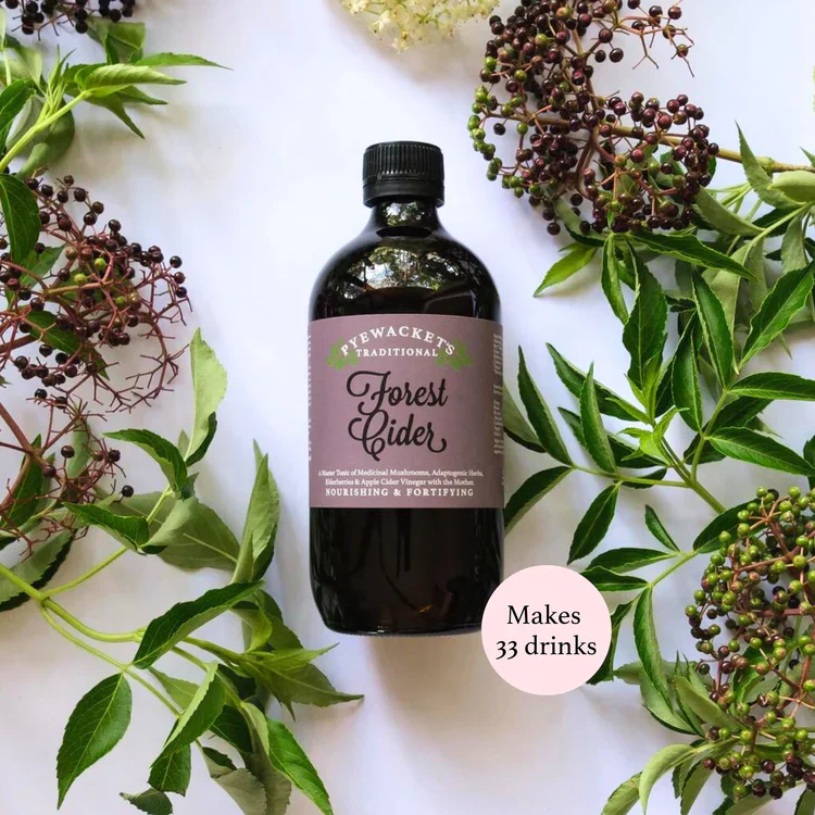 Pyewacket's Traditional Forest Cider Herbal Tonic 200mL Or 500mL, Adrenal Support & Nourishing - Image 2