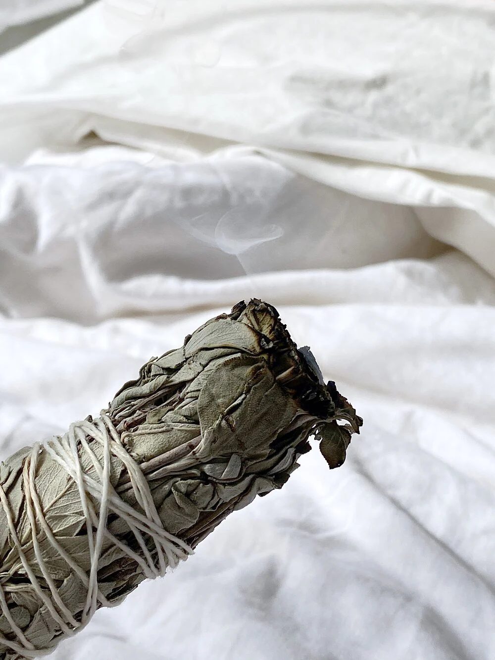 Spiritual Sky White Sage Smudge Sticks, Medium Or Large Sticks - Image 4
