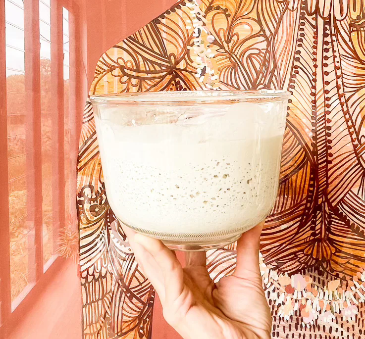 Sourdough Mumma Gluten-Free Sourdough Starter 20g, Bake Like A Pro With This Live Culture - Image 4