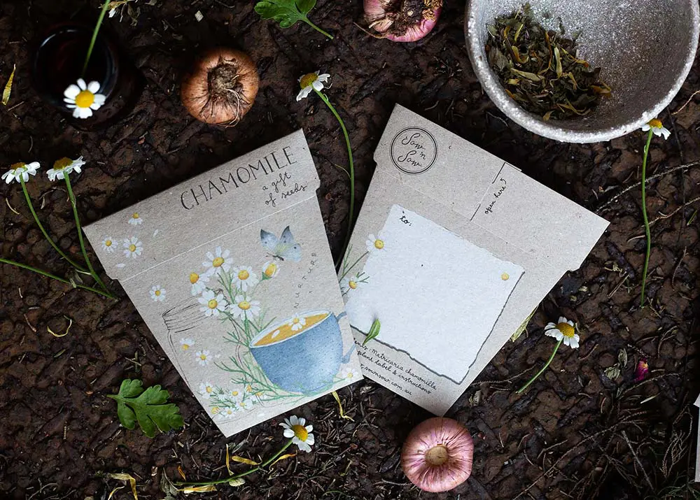 Sow 'N Sow A Gift of Seeds Card, Chamomile