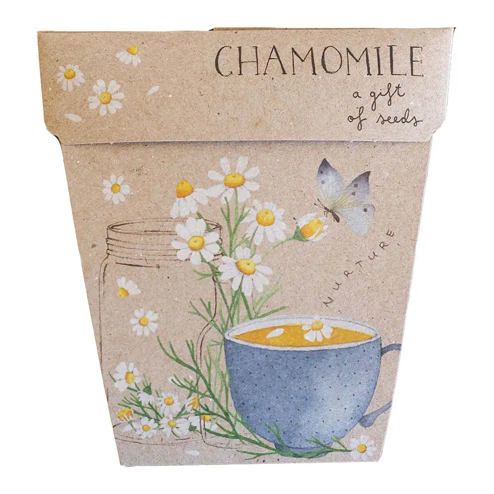 Sow 'N Sow A Gift of Seeds Card, Chamomile - Image 2