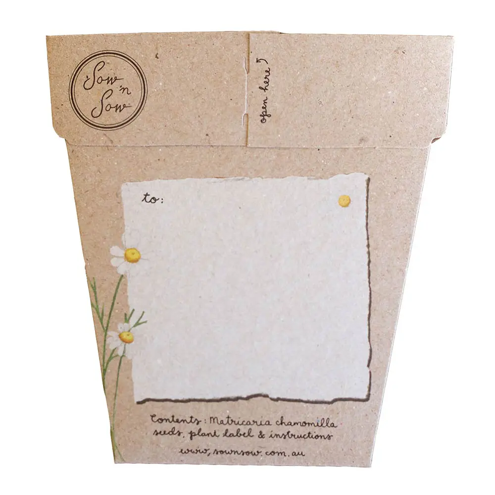Sow 'N Sow A Gift of Seeds Card, Chamomile - Image 3