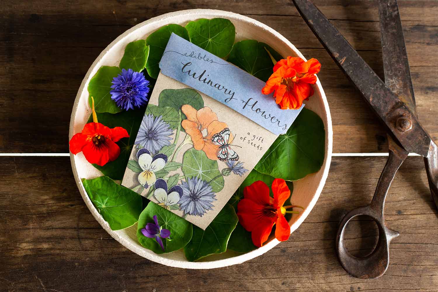 Sow 'N Sow A Gift of Seeds Card, Culinary Flowers