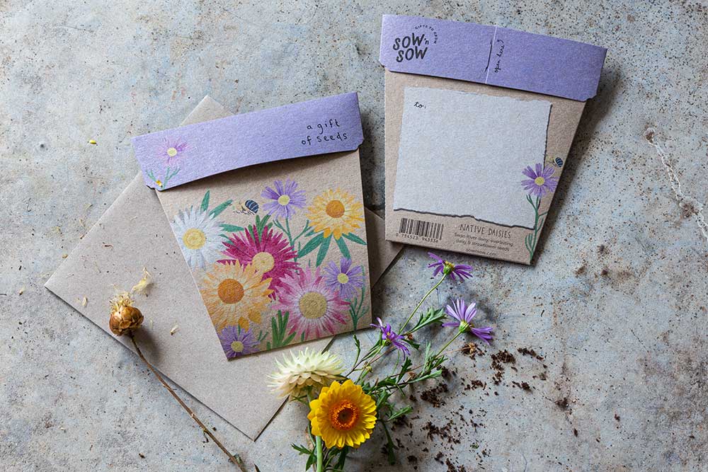 Sow 'N Sow A Gift of Seeds Card, Native Daisies - Image 3
