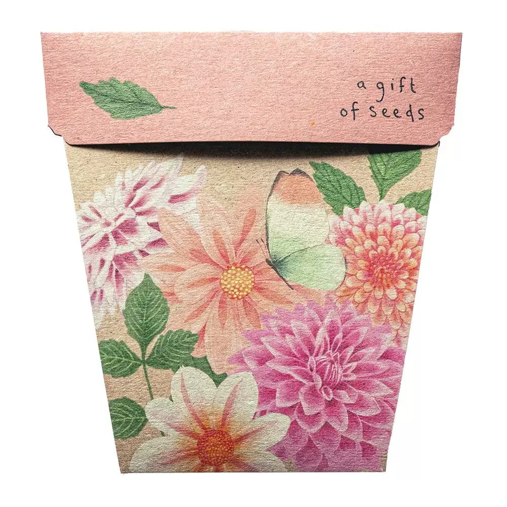 Sow 'N Sow A Gift of Seeds Card, Dhalia - Image 2