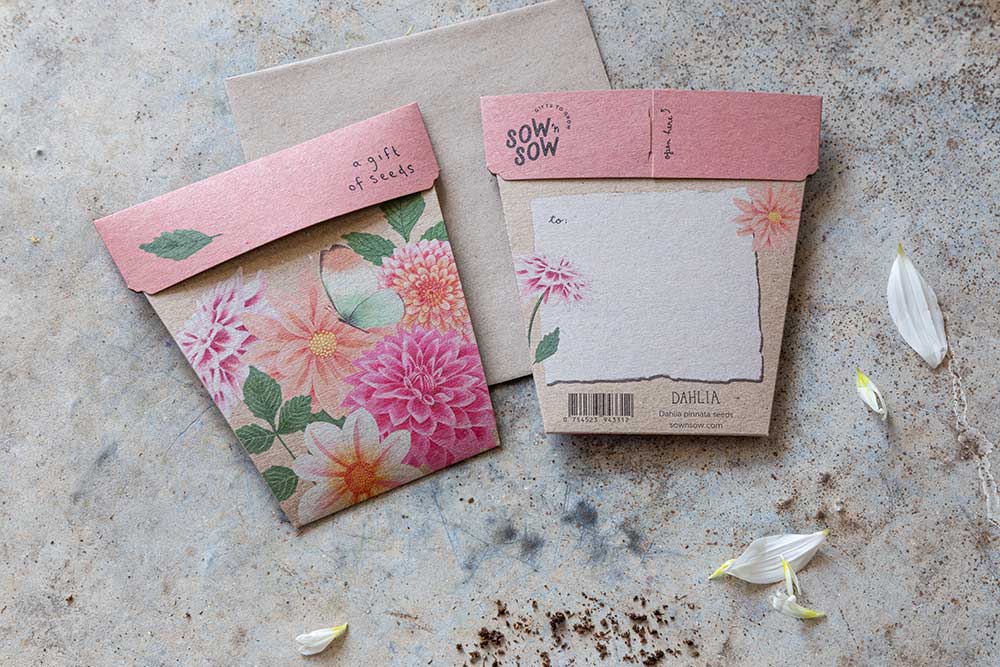 Sow 'N Sow A Gift of Seeds Card, Dhalia - Image 3