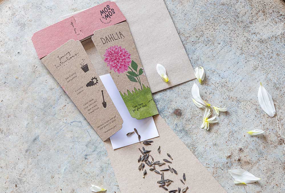 Sow 'N Sow A Gift of Seeds Card, Dhalia - Image 4