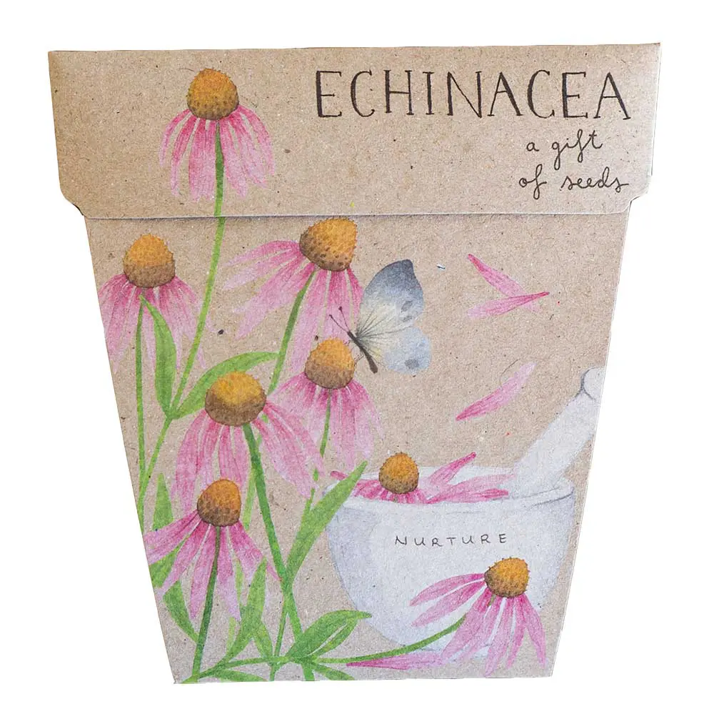 Sow 'N Sow A Gift of Seeds Card, Echinacea - Image 2