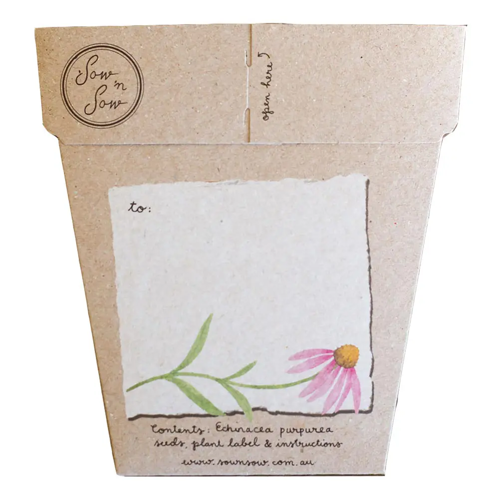Sow 'N Sow A Gift of Seeds Card, Echinacea - Image 3