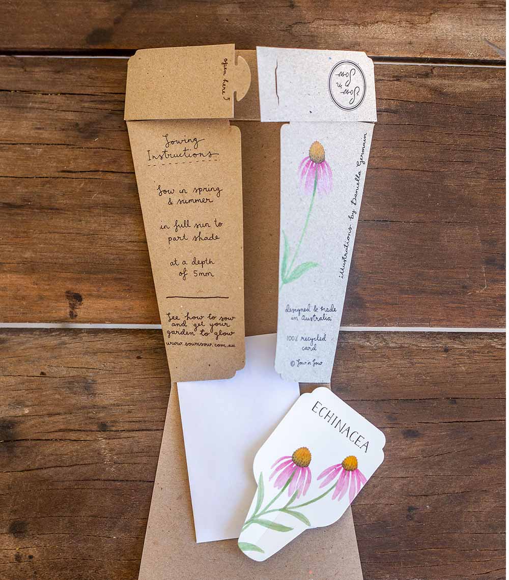 Sow 'N Sow A Gift of Seeds Card, Echinacea - Image 4