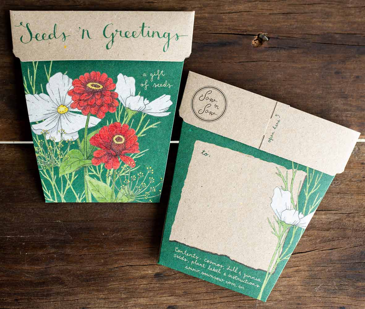 Sow 'N Sow A Gift of Seeds Card, Seeds n' Greetings - Image 3