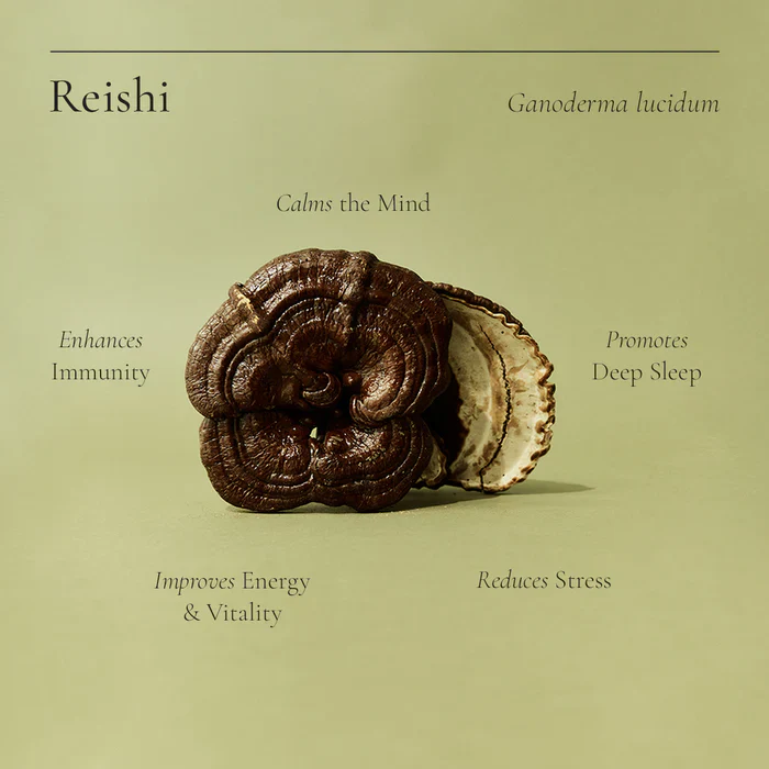 SuperFeast Reishi Medicinal Mushrooms 100g, Calm Mind & Steady Spirit - Image 2