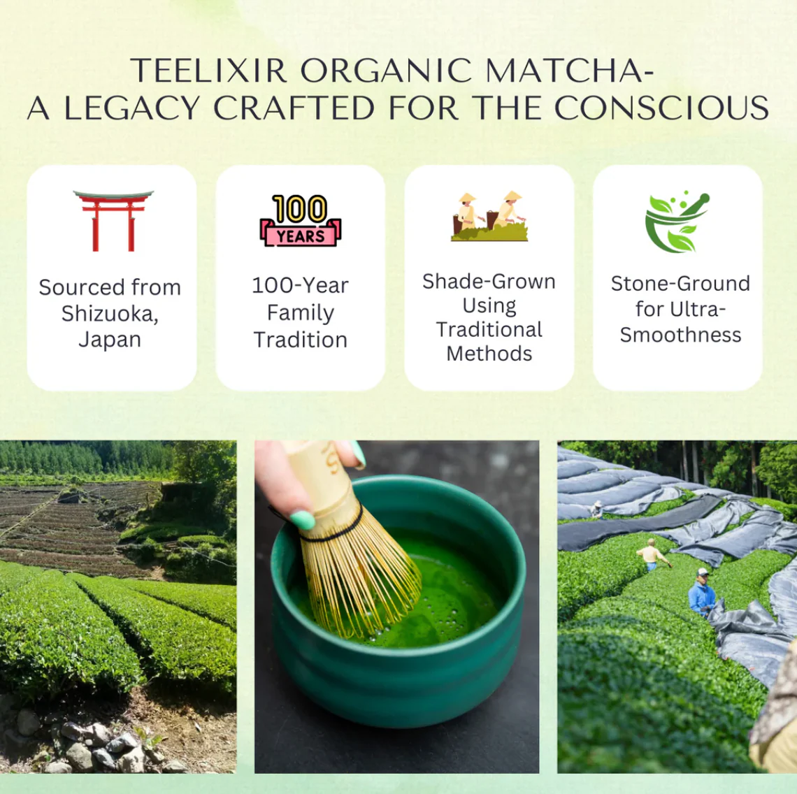 Teelixir Organic Ceremonial Grade Matcha 100g, Sustainably Sourced - Image 2