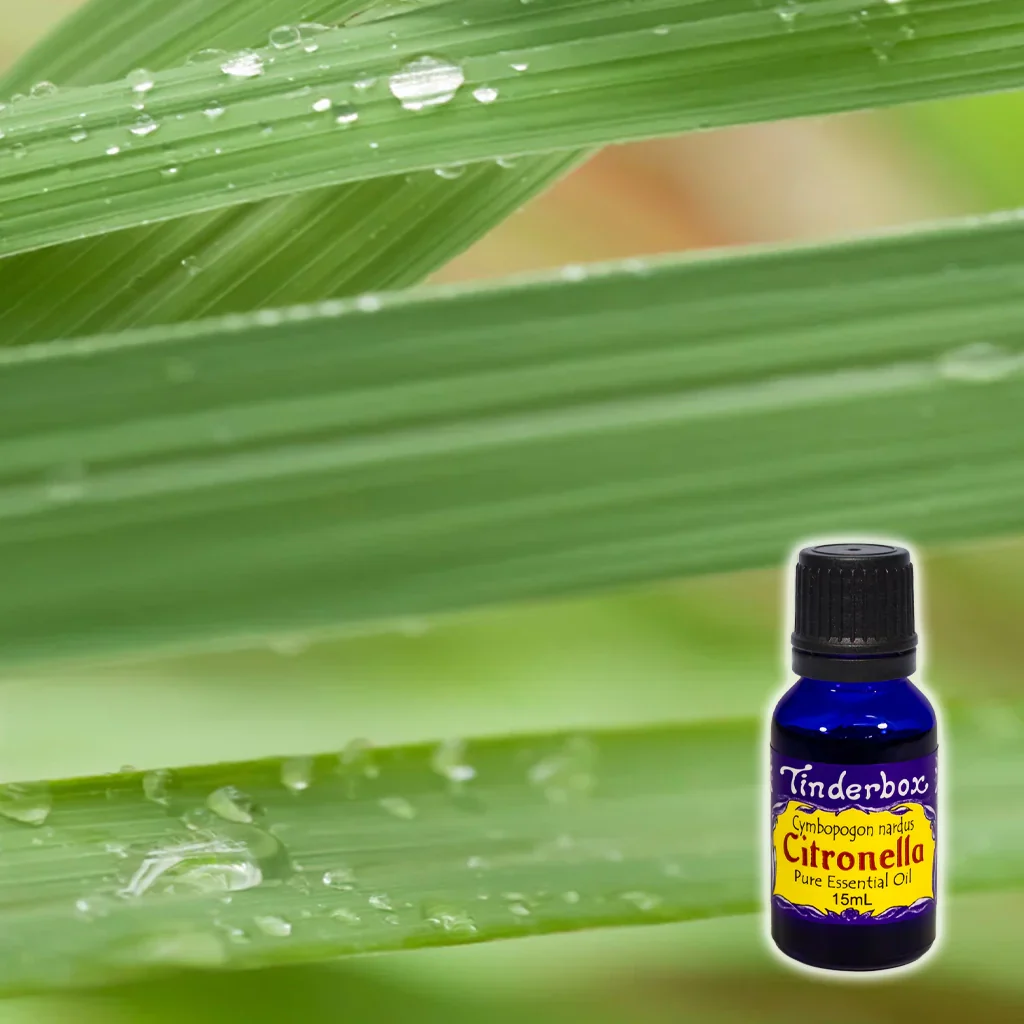 Tinderbox Citronella Essential Oil 15mL, A Sri Lankan Citronella - Image 2