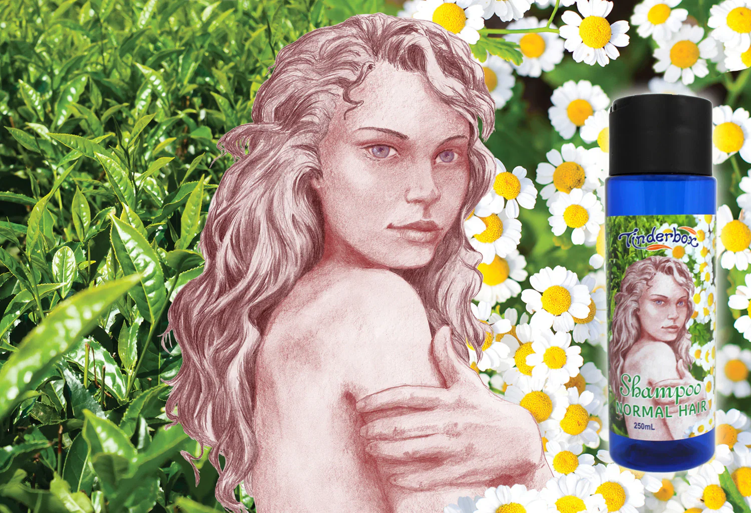 Tinderbox Shampoo For Normal Hair 250mL, With Chamomile & Green Tea Extract