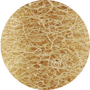 Twist Plant-Based Scour Pads 2 Pack - Image 5