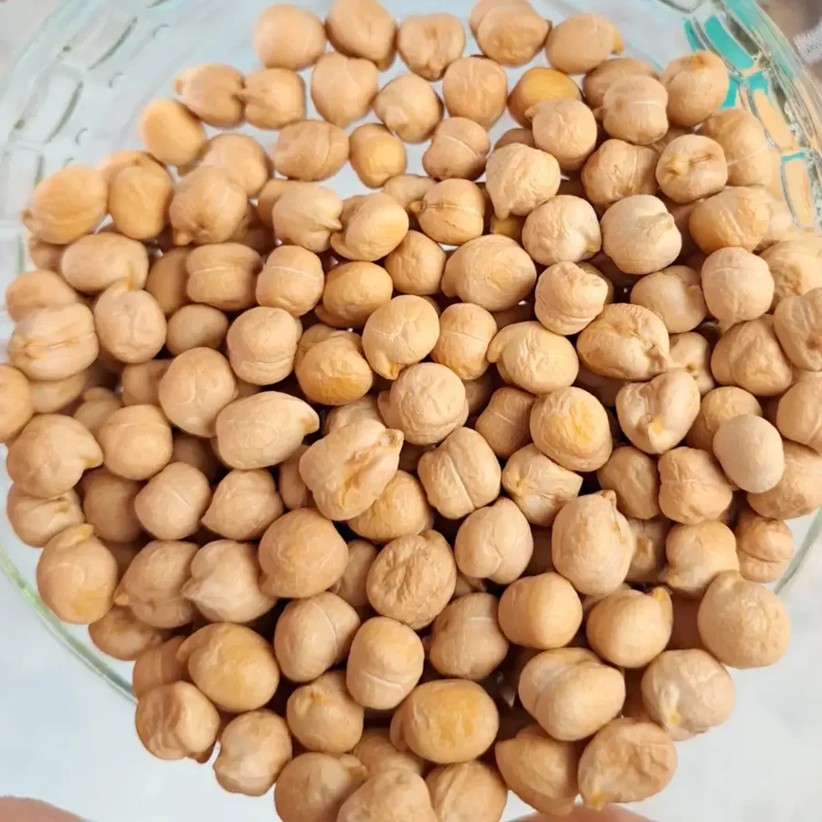 Untamed Health Earth-Friendly Sprouting Seeds 100g, Chickpeas - Image 4