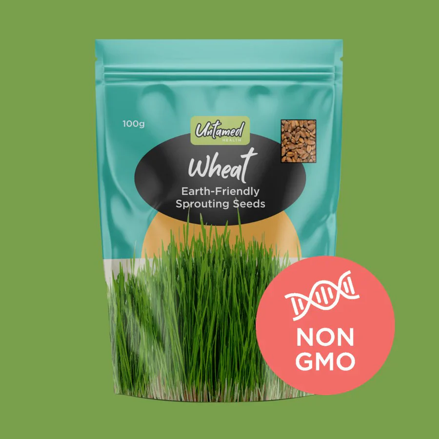 Untamed Health Earth-Friendly Sprouting Seeds 100g, Wheat Seeds