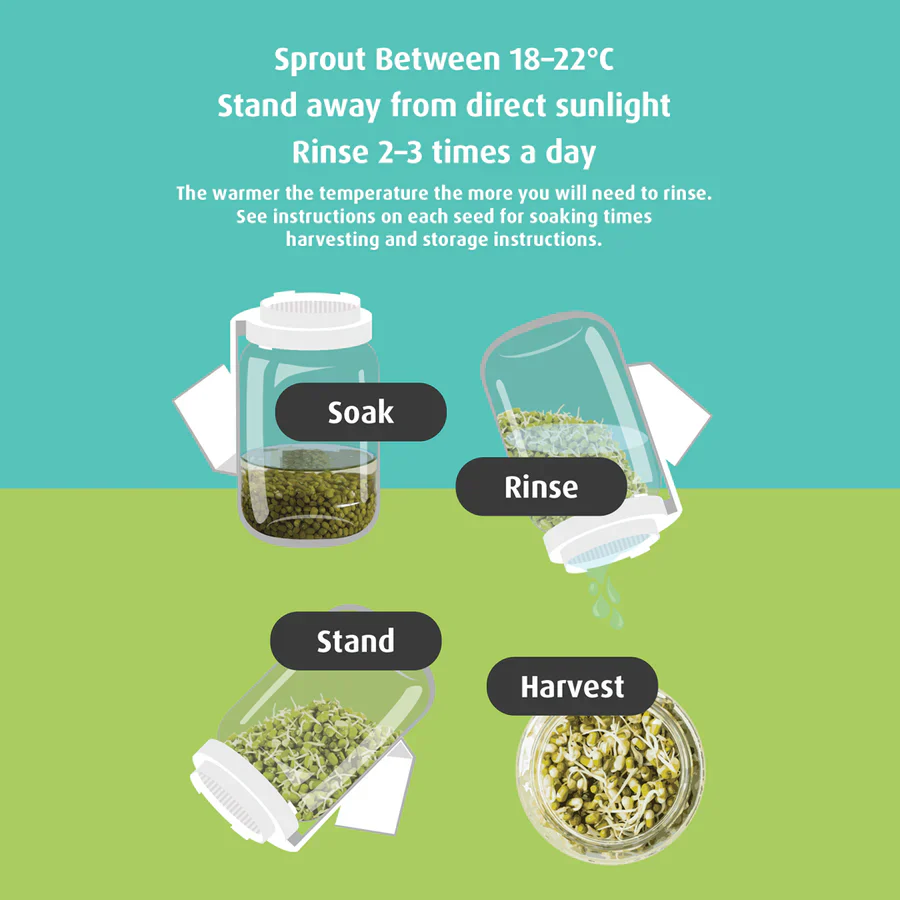 Untamed Health Super Sprouter Germinator, Make Your Own Sprouts - Image 3