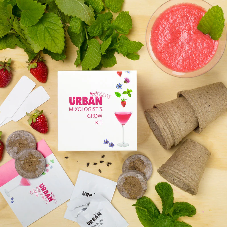 Urban Greens Grow Kit 10x10cm, Cocktail Garnish - Image 3