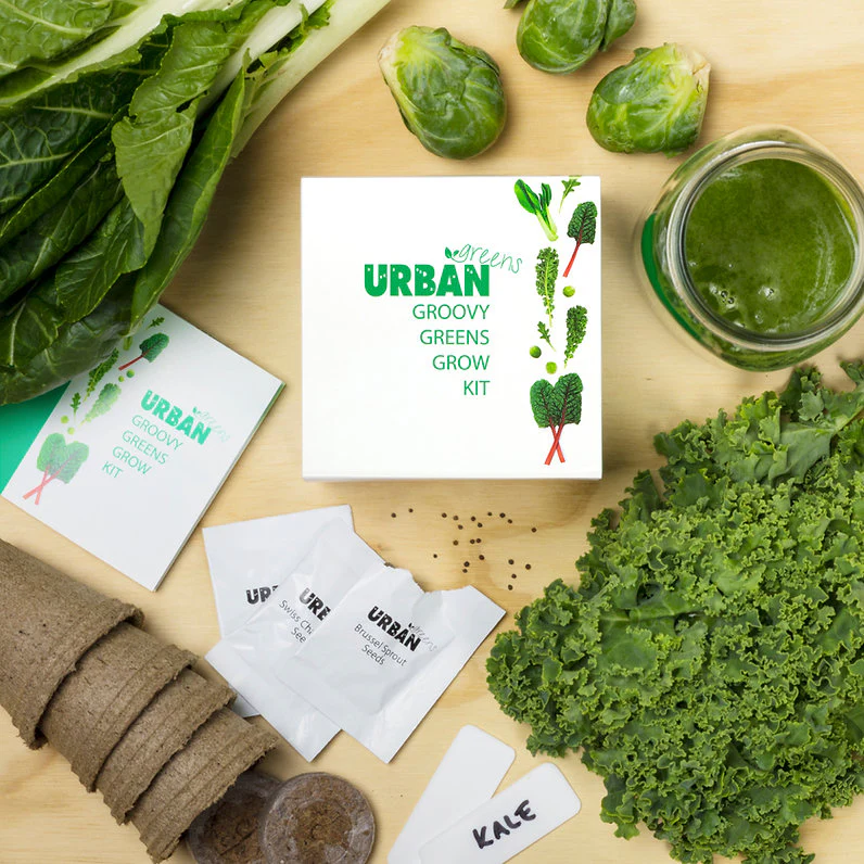 Urban Greens Grow Kit 10x10cm, Groovy Greens - Image 2