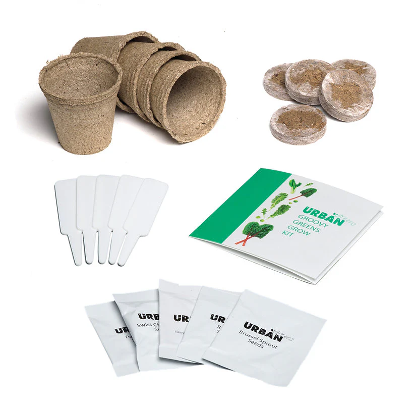 Urban Greens Grow Kit 10x10cm, Groovy Greens - Image 3