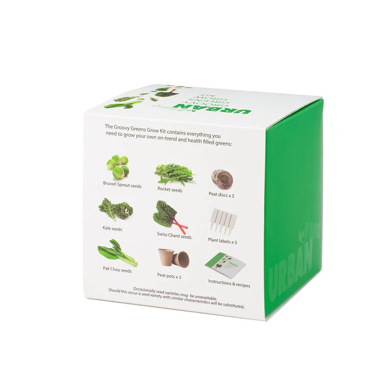 Urban Greens Grow Kit 10x10cm, Groovy Greens - Image 4