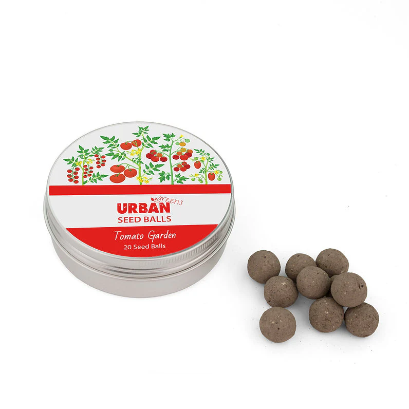 Urban Greens Seed Balls (For Planting) Tomato Garden (24 Per Tin)