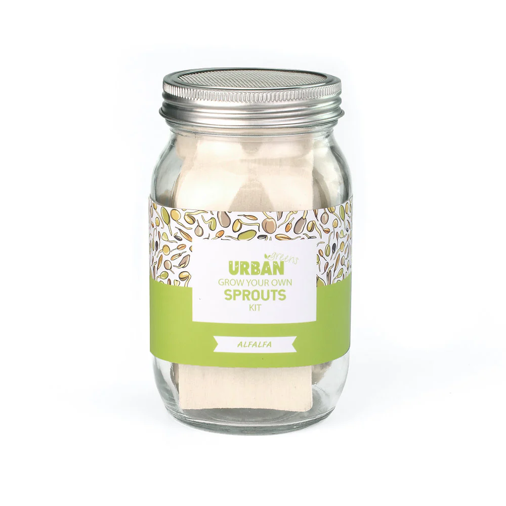 Urban Greens Sprout Jar Kit, Alfalfa