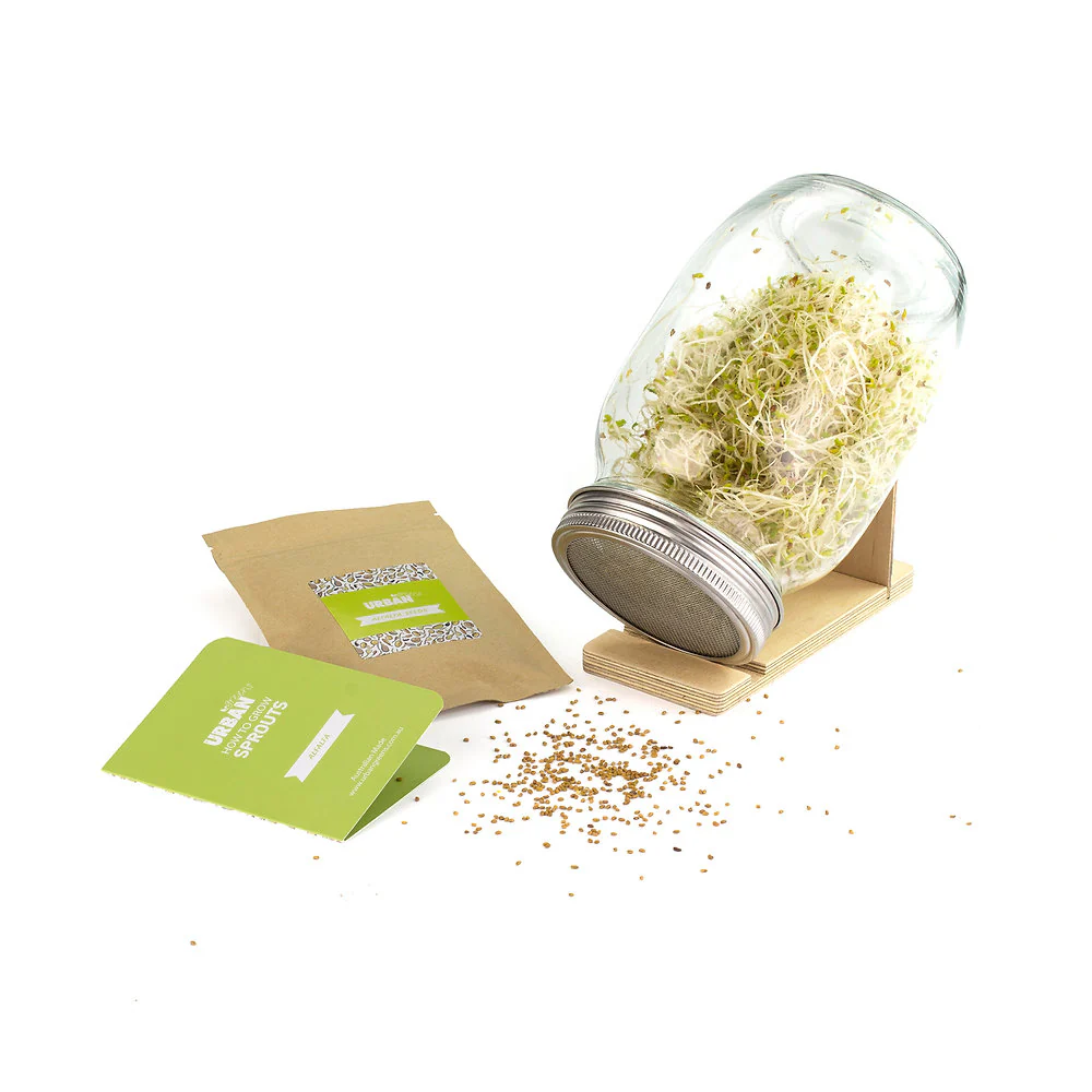 Urban Greens Sprout Jar Kit, Alfalfa - Image 2