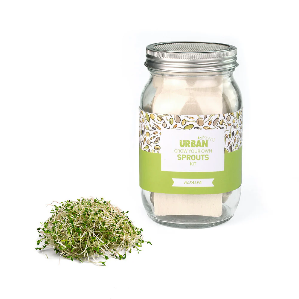 Urban Greens Sprout Jar Kit, Alfalfa - Image 3