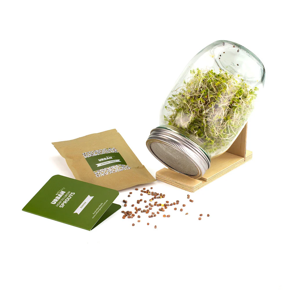 Urban Greens Sprout Jar Kit, Radish - Image 2