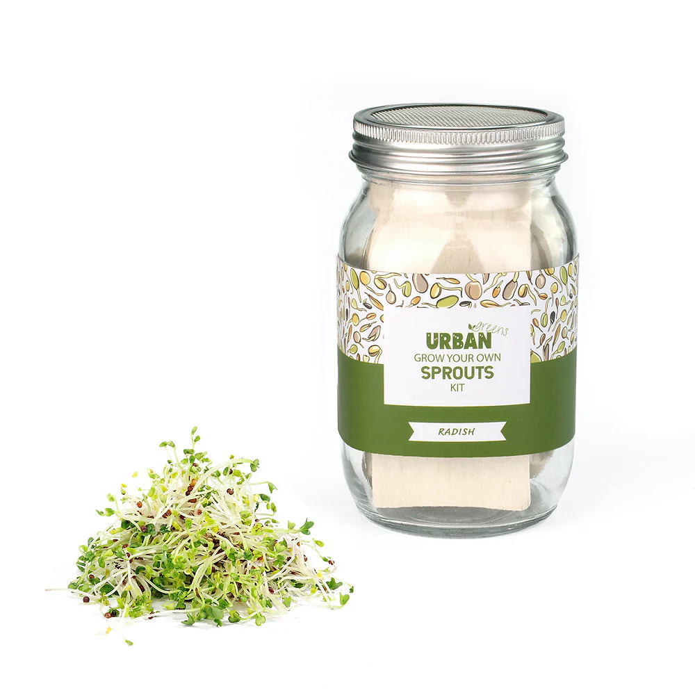 Urban Greens Sprout Jar Kit, Radish - Image 3