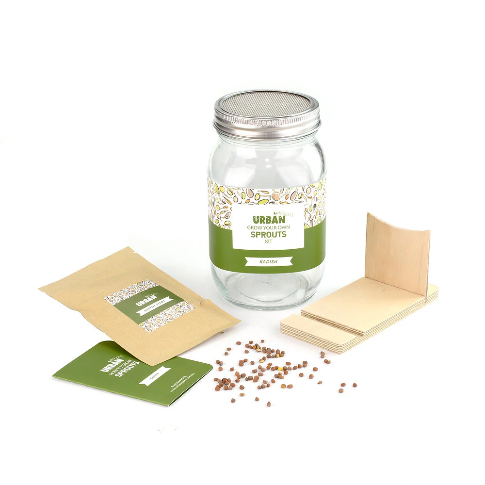 Urban Greens Sprout Jar Kit, Radish - Image 4