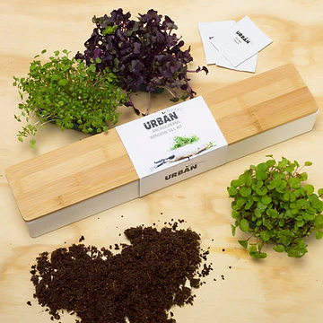 Urban Greens Windowsill Grow Kit Microgreens - 45x8x6cm