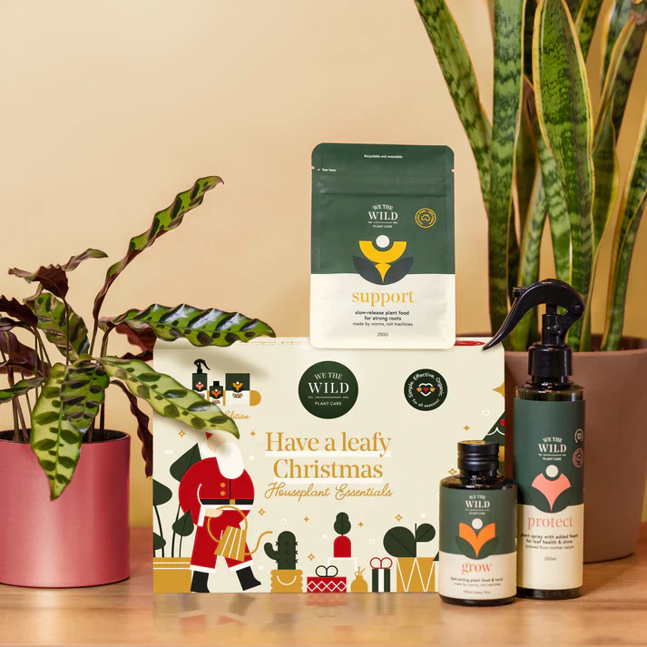 We The Wild Christmas Essentials Kit, Houseplant Essentials - Image 2