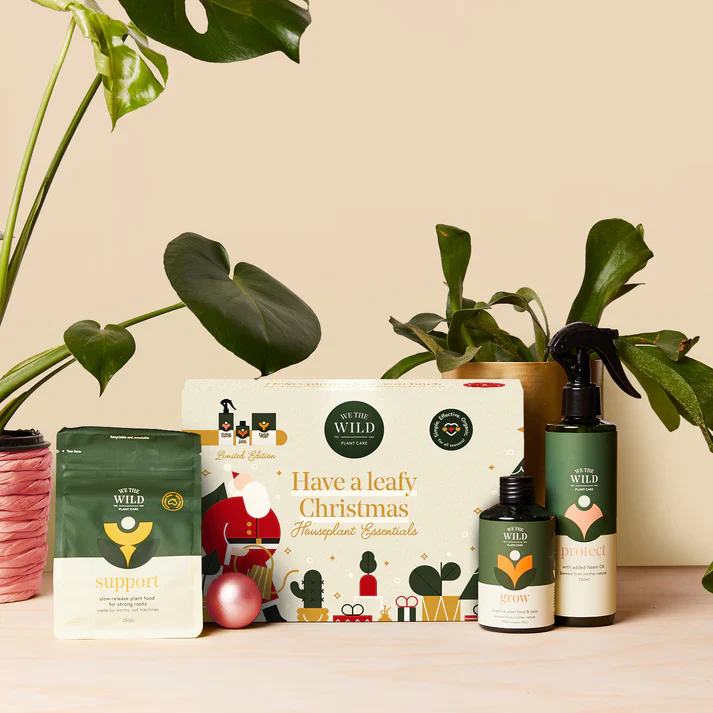 We The Wild Christmas Essentials Kit, Houseplant Essentials - Image 3