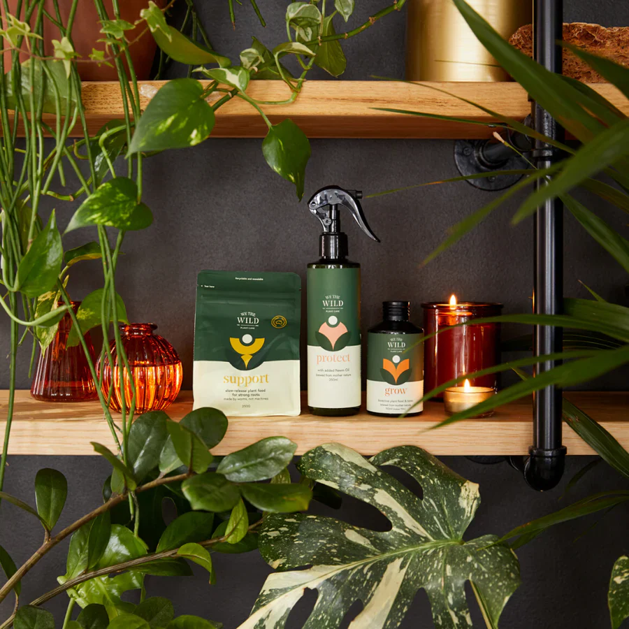 We The Wild Essential Plant Care Kit, Helps Plants Love You Back - Image 4